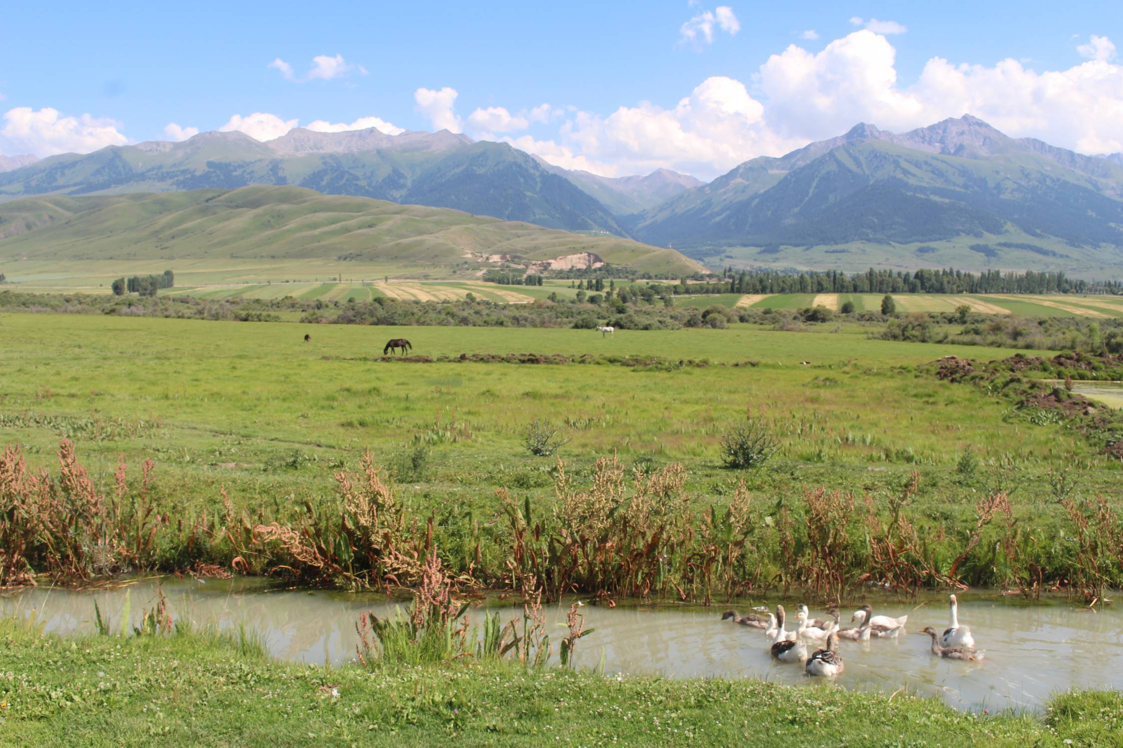 Razdolnoe, paysage
