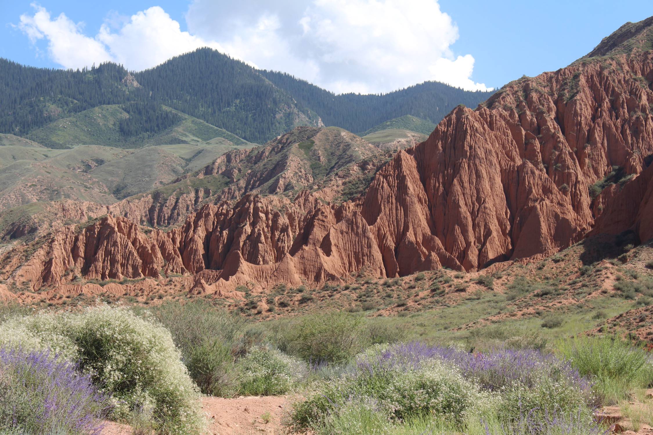 Issyk-Koul, canyon Mars