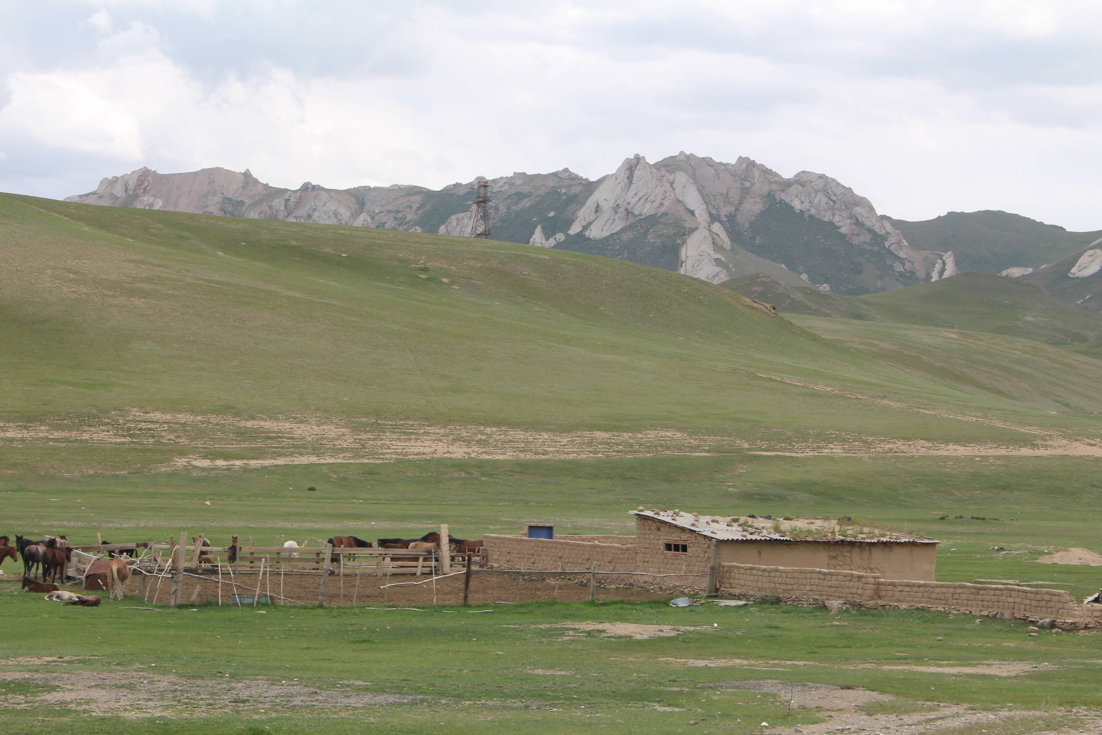 Col de Torugart, ferme