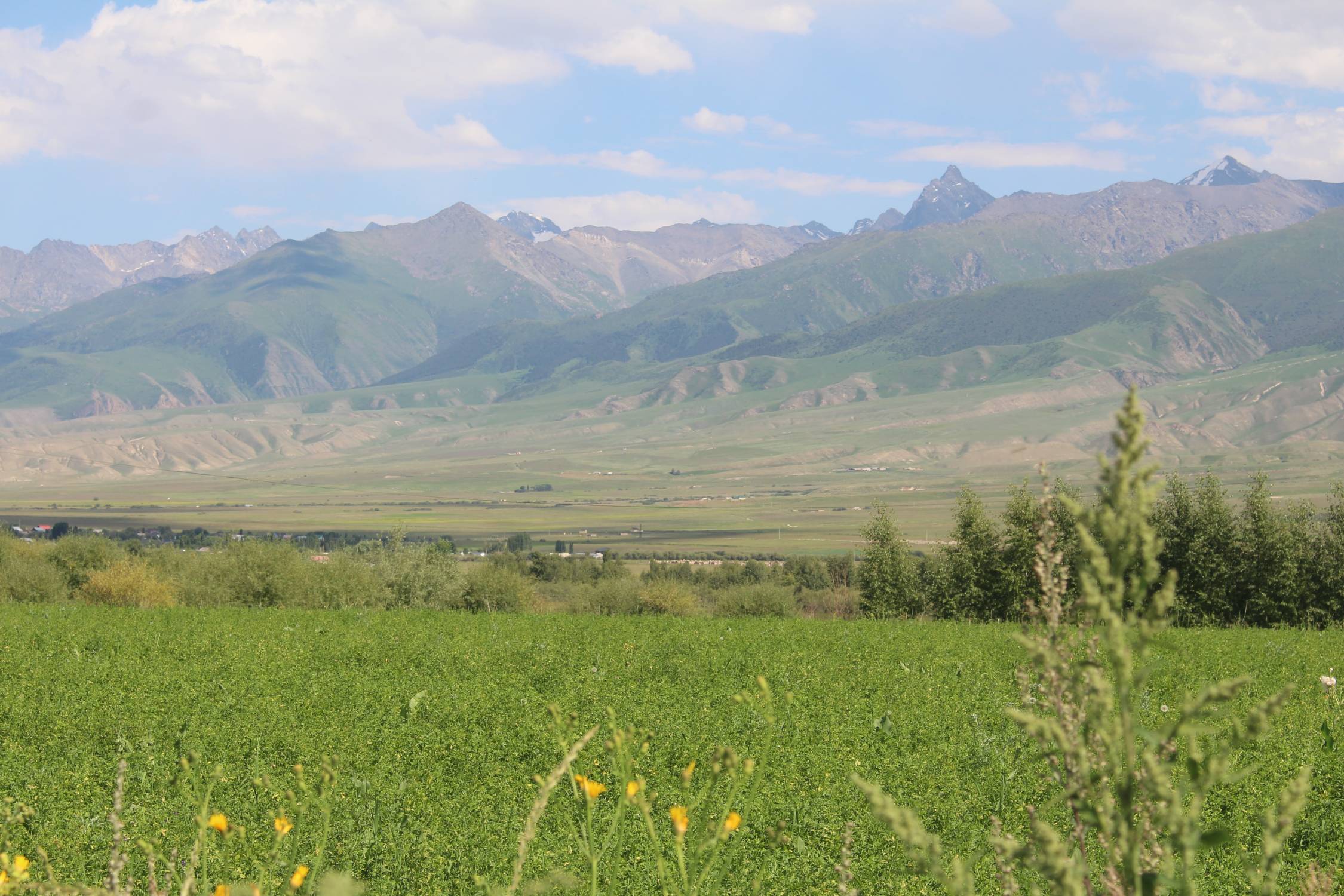 Chaines At-Bashi, prairie