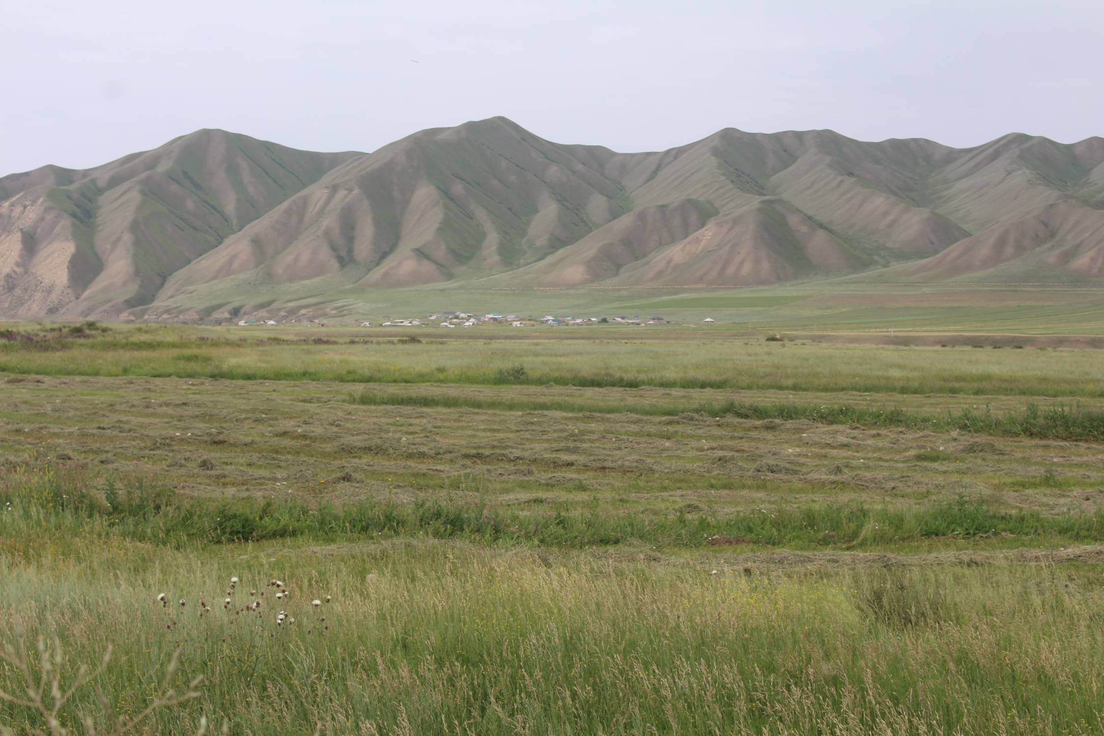Liri Suu, montagnes