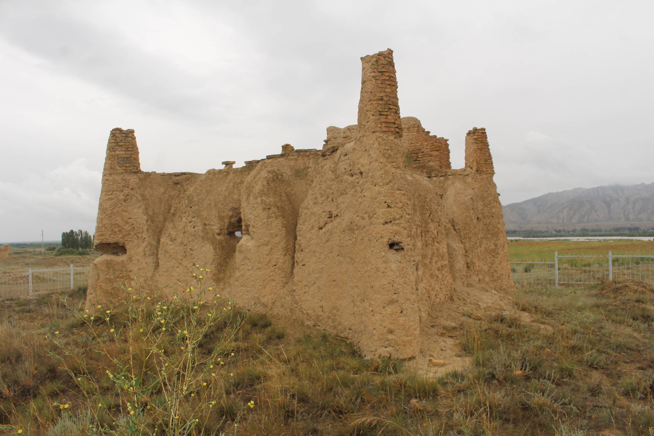Ruines de Taylak Baatyr
