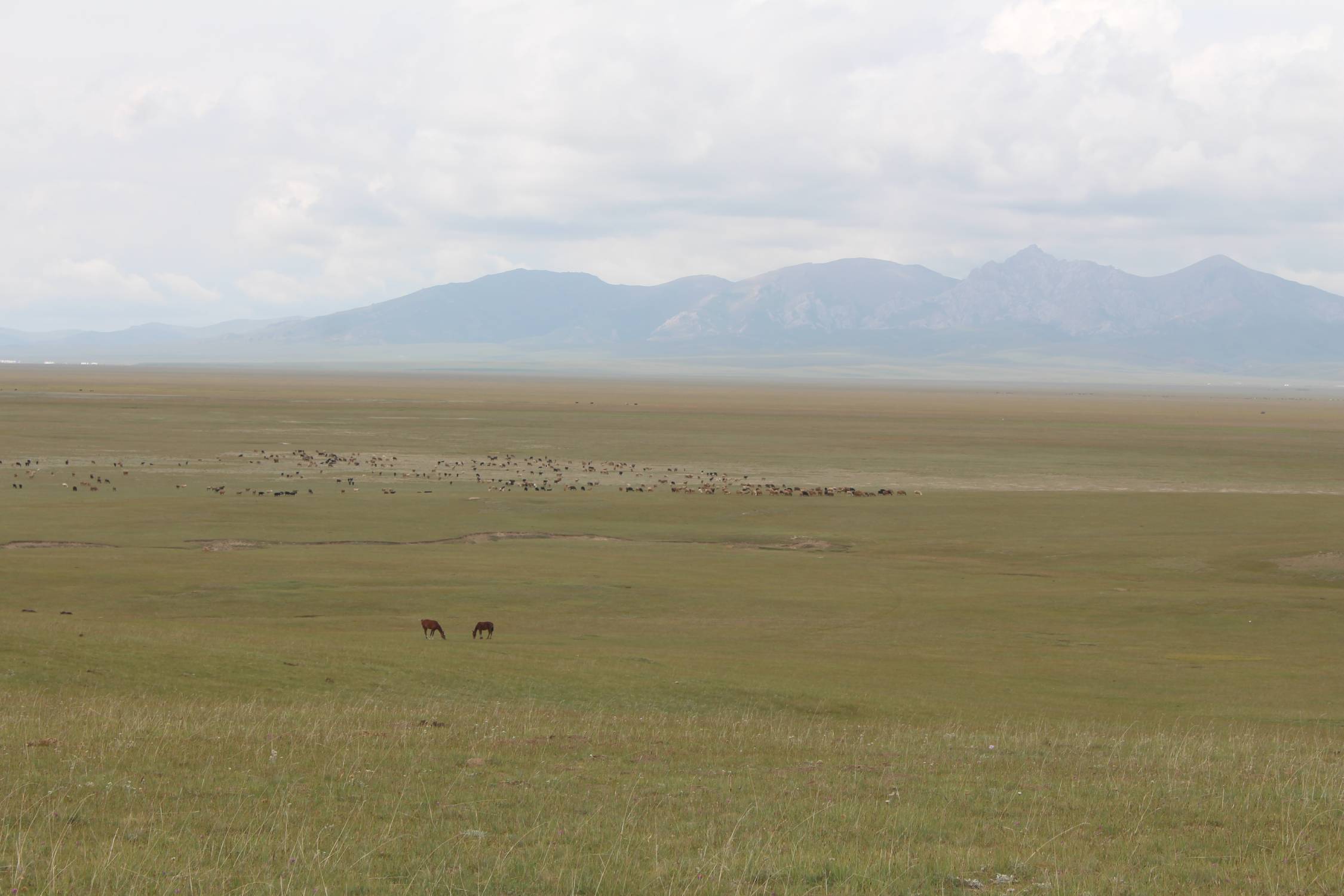 Lac Son-Koul, steppe, panorama