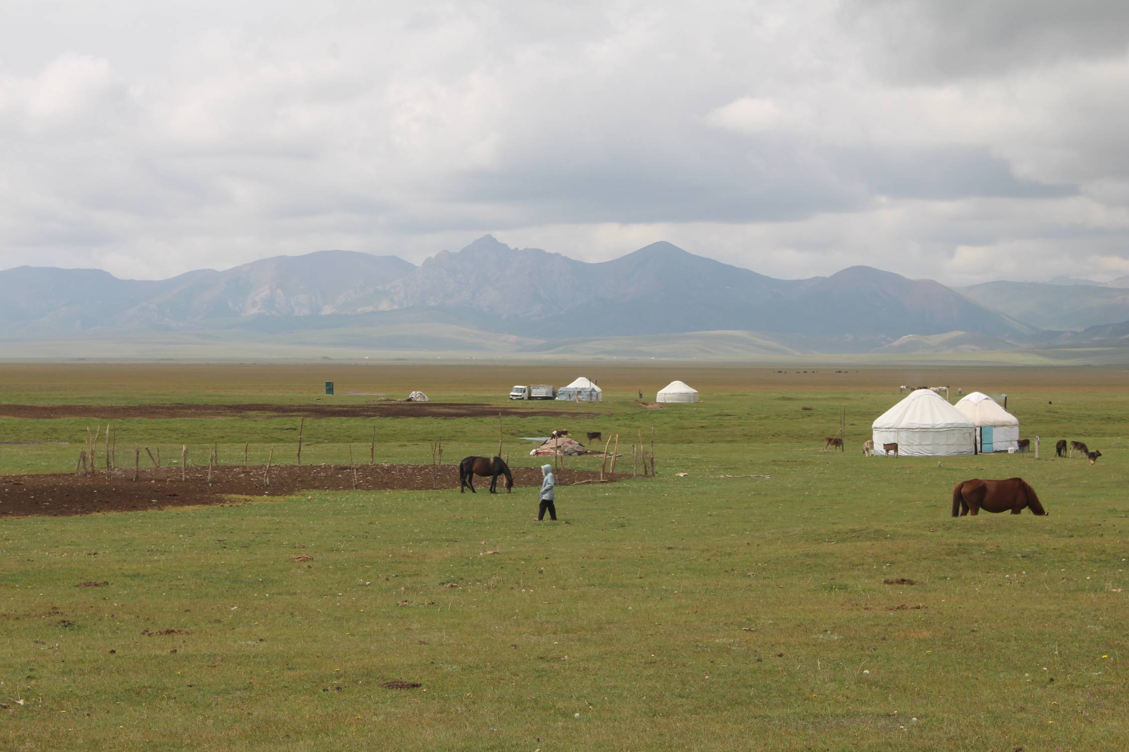 Lac Son-Koul, yourtes, nomades