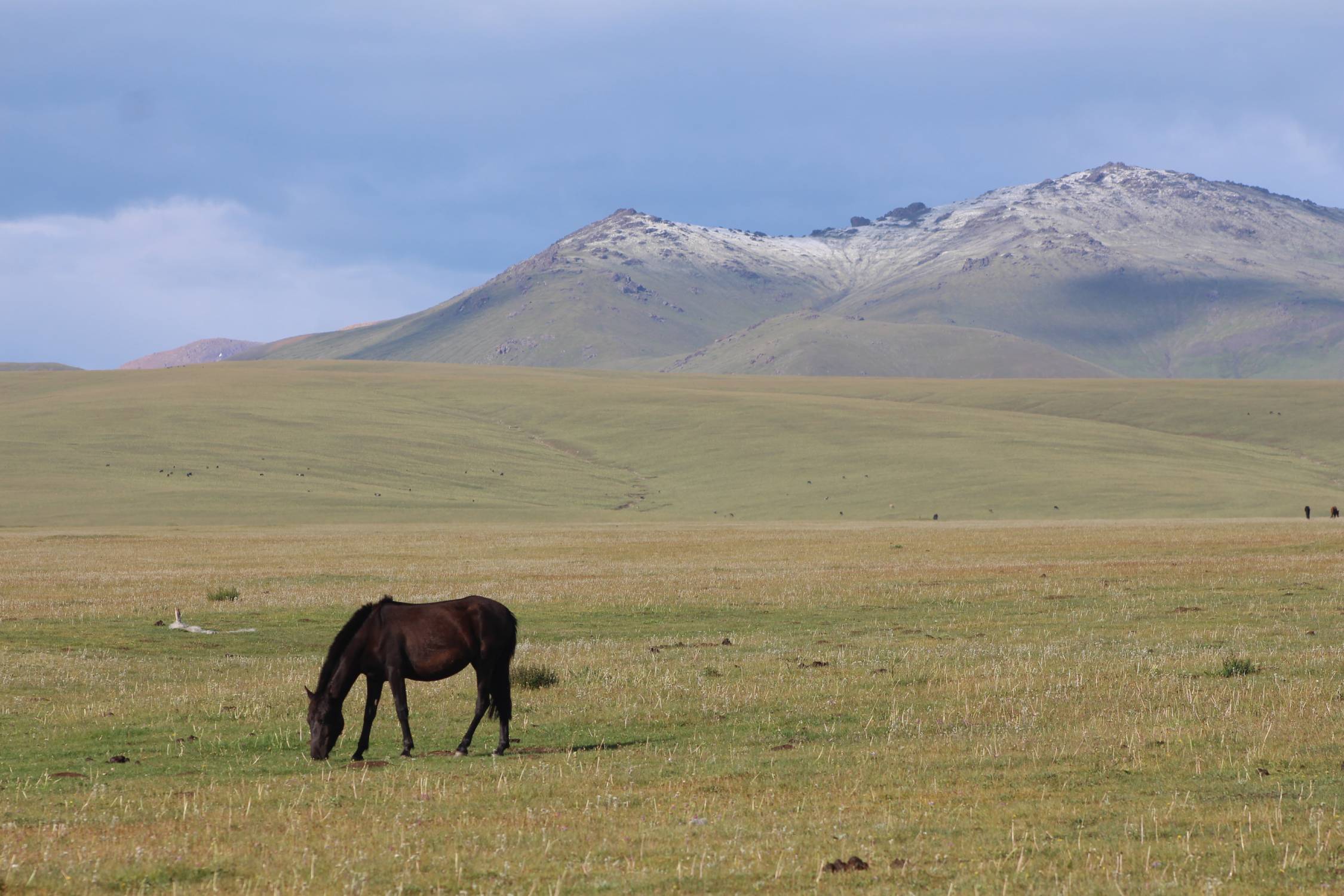 Lac Son-Koul, cheval, paysage