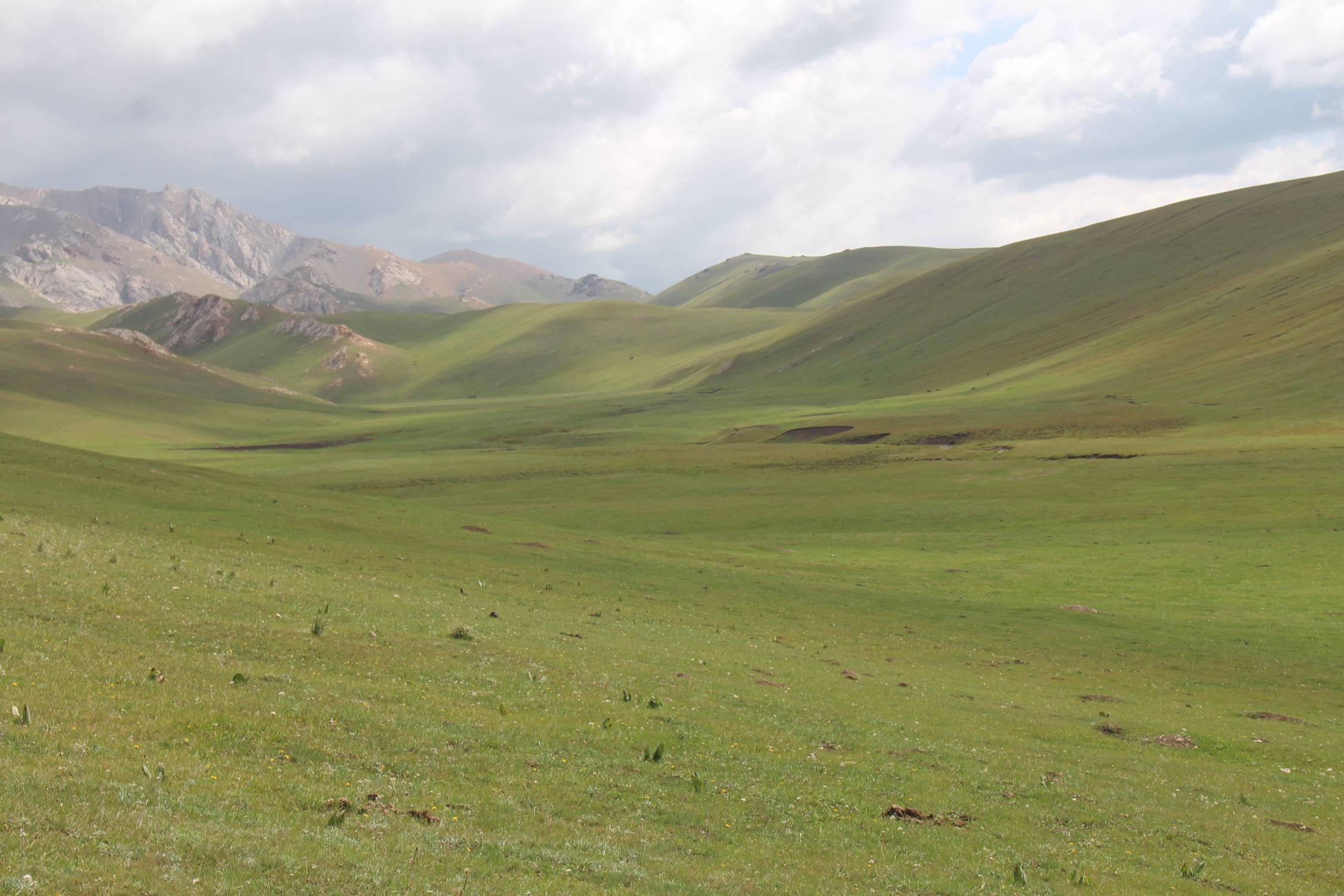 Steppe, lac Son-Koul