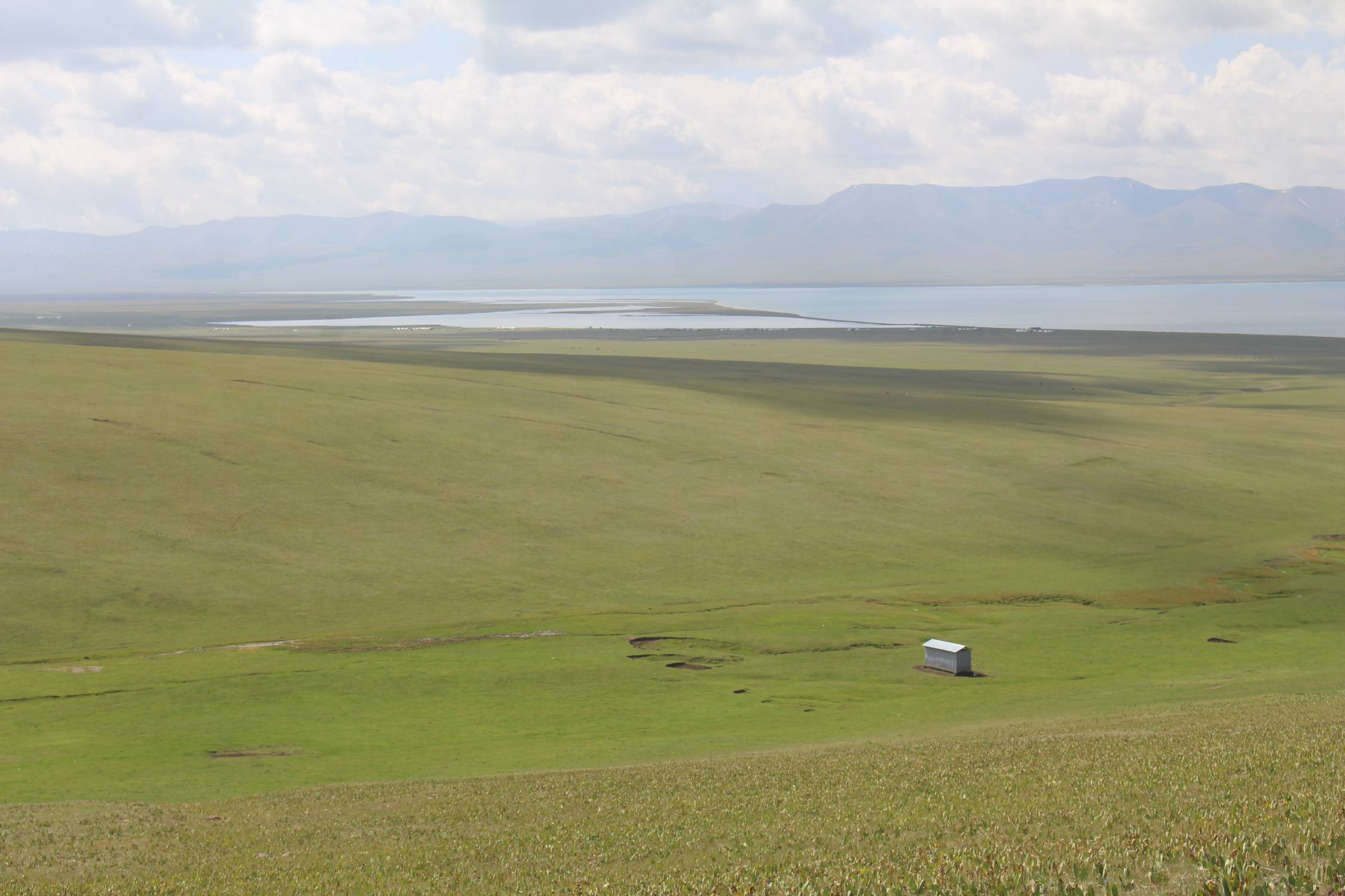 Paysage, lac Son-Koul, steppe
