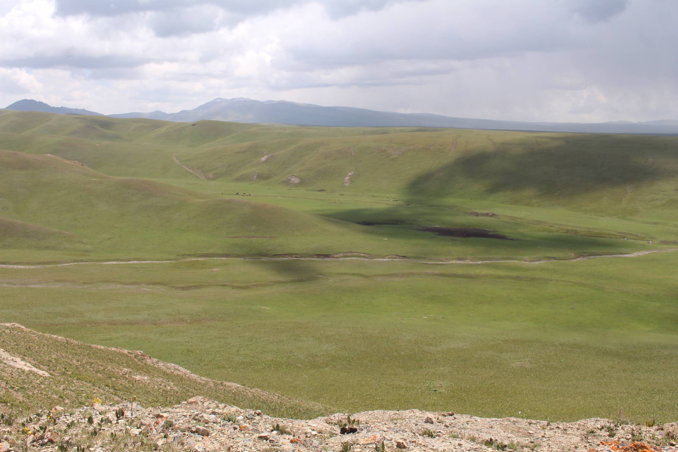 Steppe, lac Son-Koul, vue