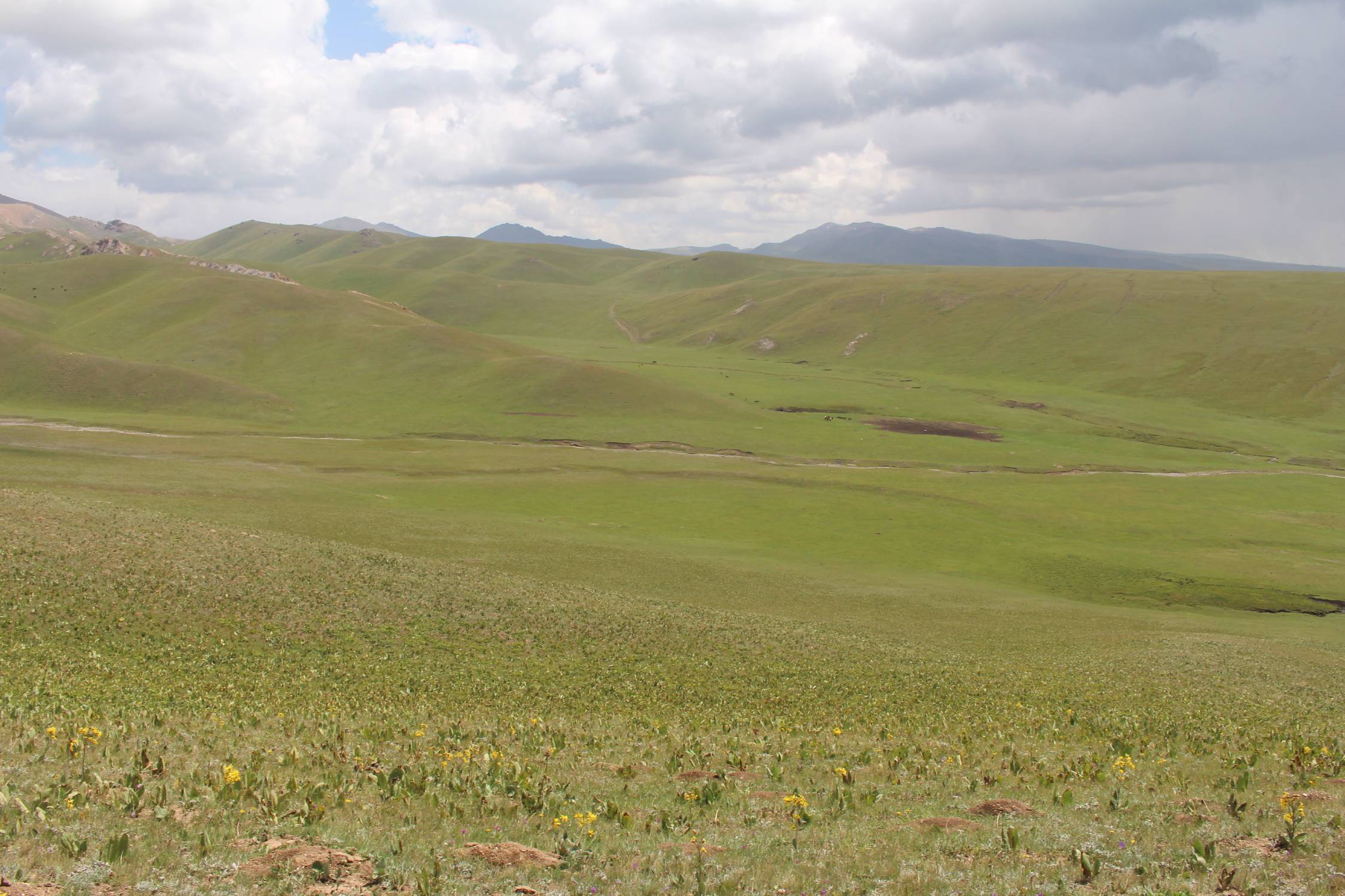 Steppe, lac Son-Koul, paysage