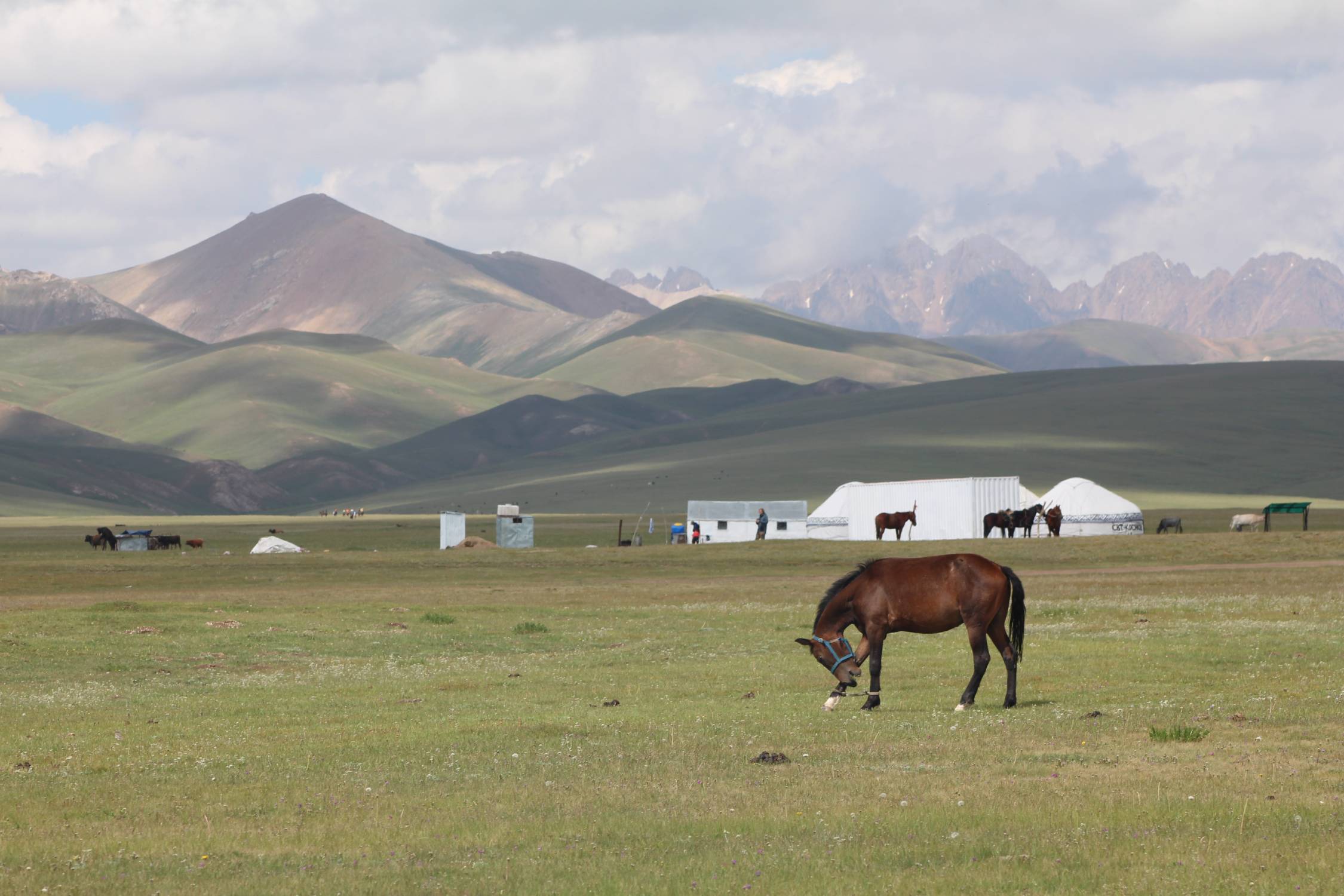 Lac Son-Koul, camps, paysage