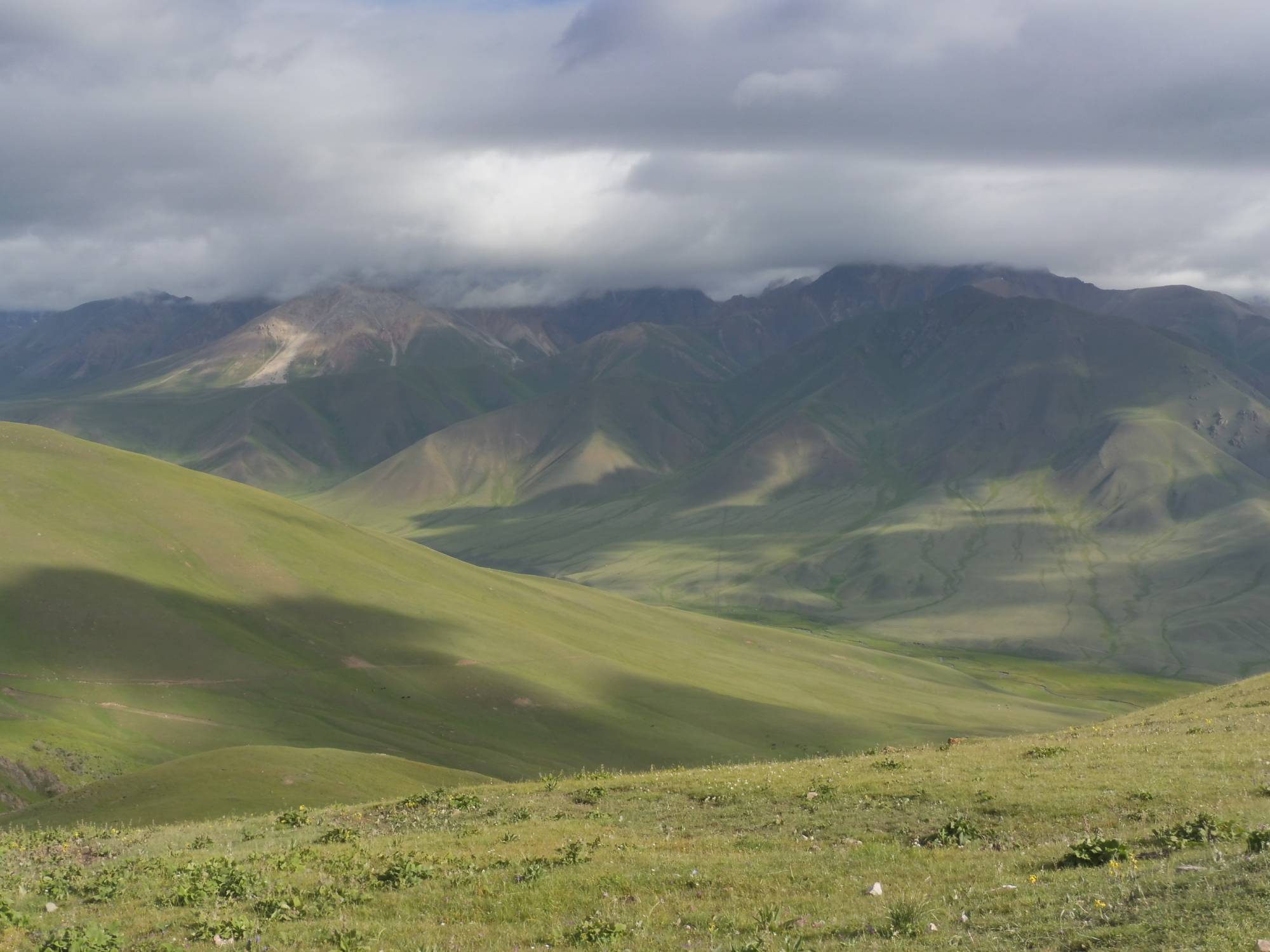 Col de Kalmak Ashuu, paysage