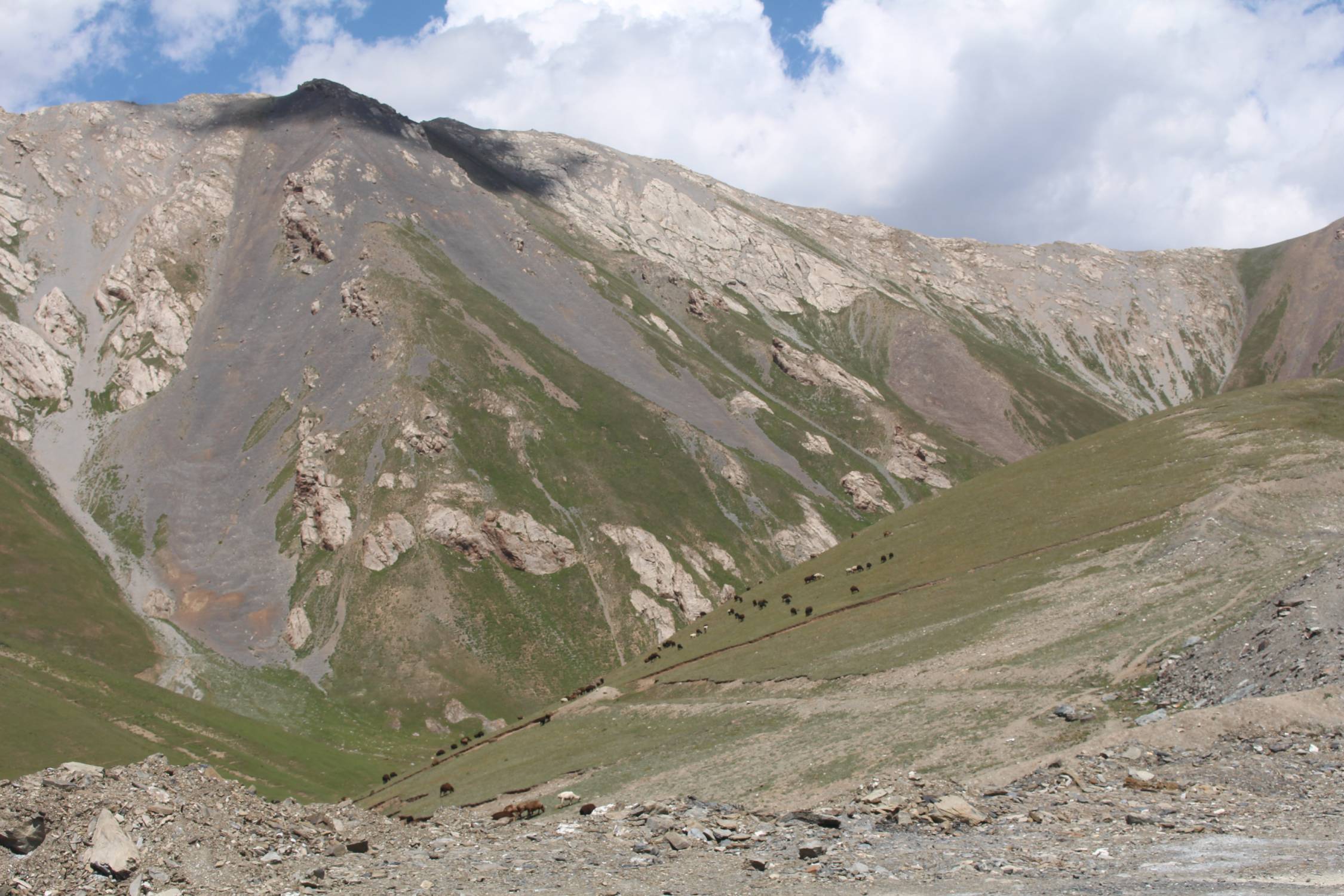 Col de Taldyk Ashuu, paysage