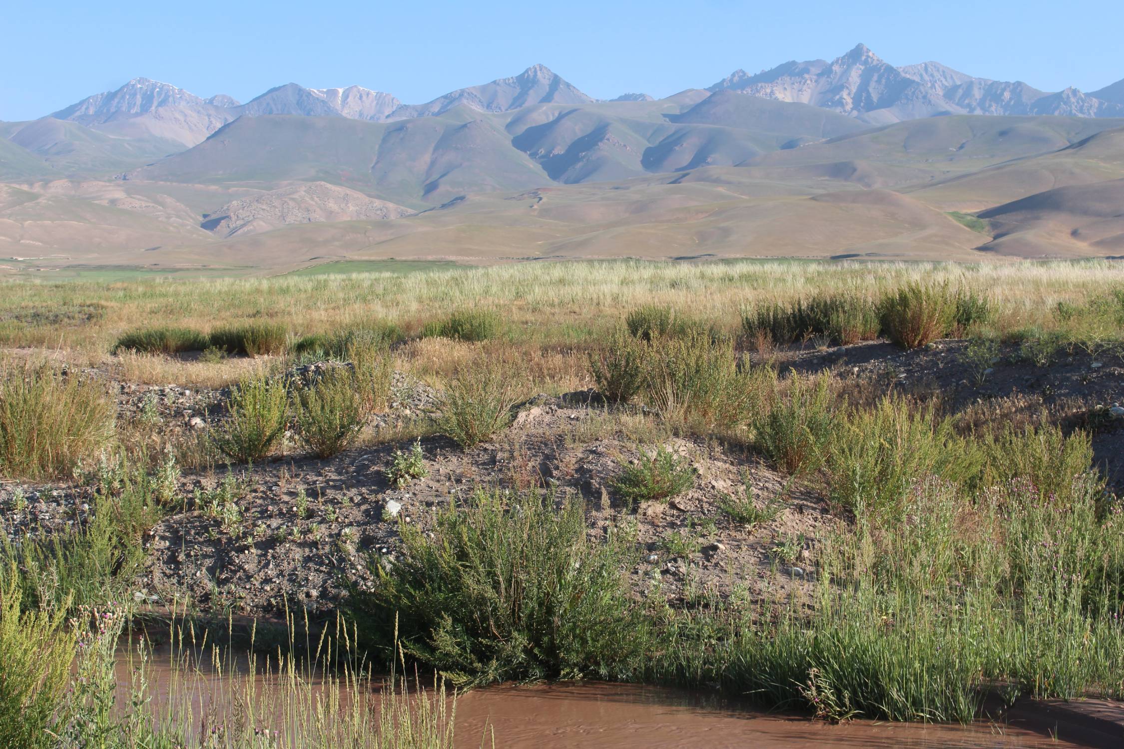 Alay Kirka Toosu, paysage