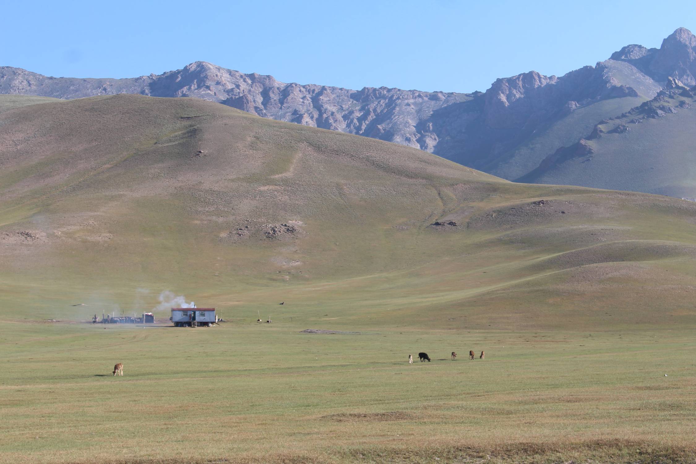 Alay Kirka Toosu, nomades