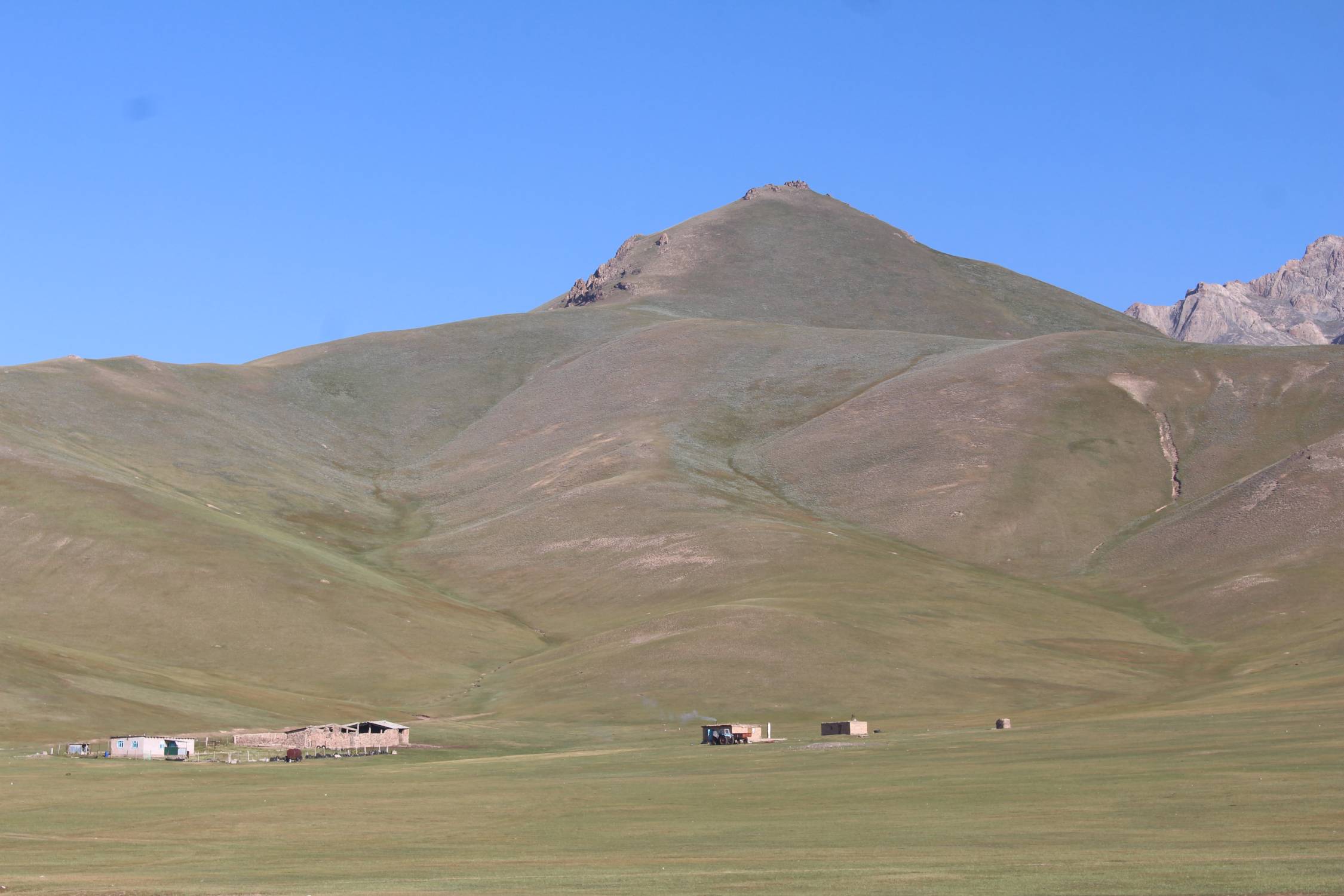 Alay Kirka Toosu, steppe
