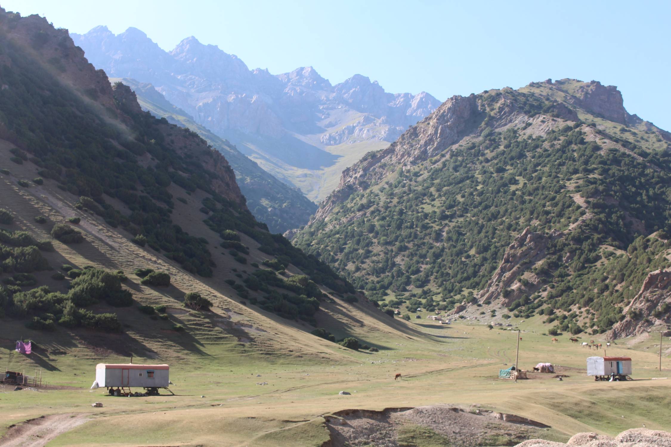 Col de Taldyk Ashuu, nomades