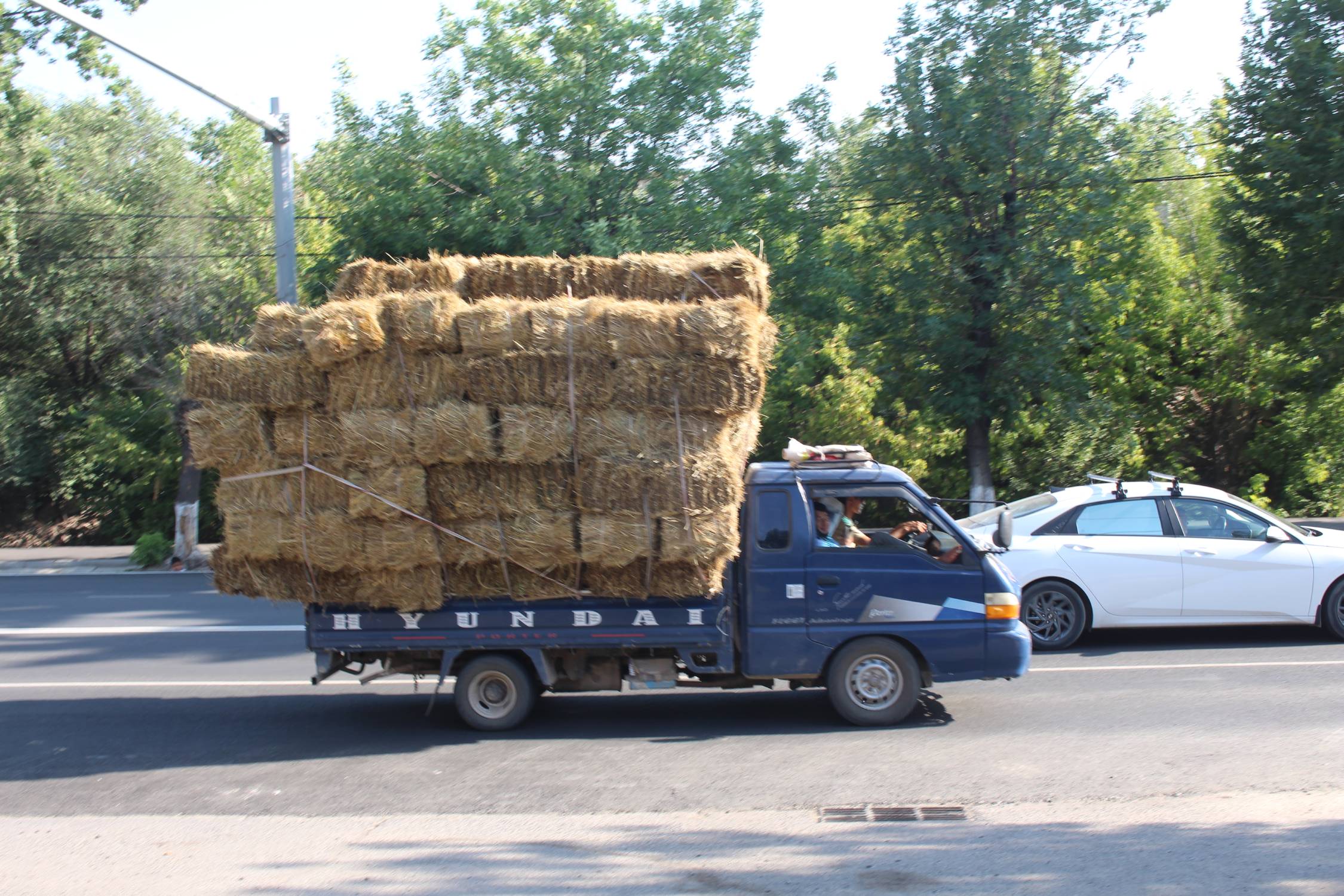 Och, camionette, paille