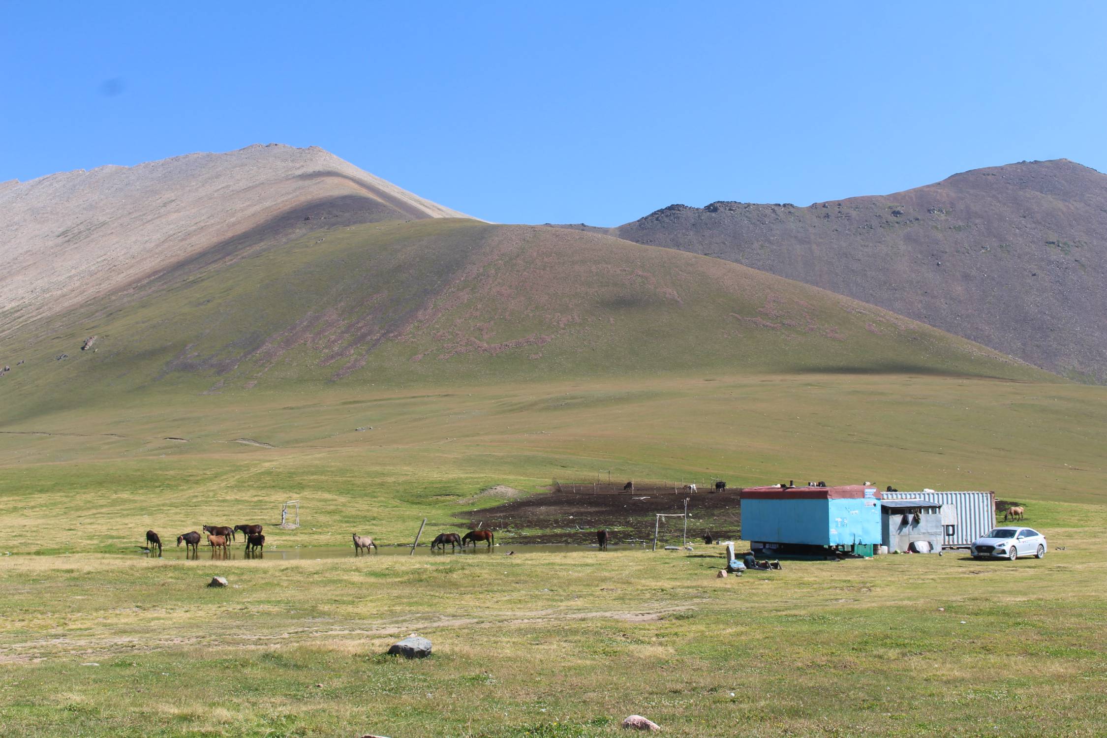 Col de Ala Bel Ashuu, nomades