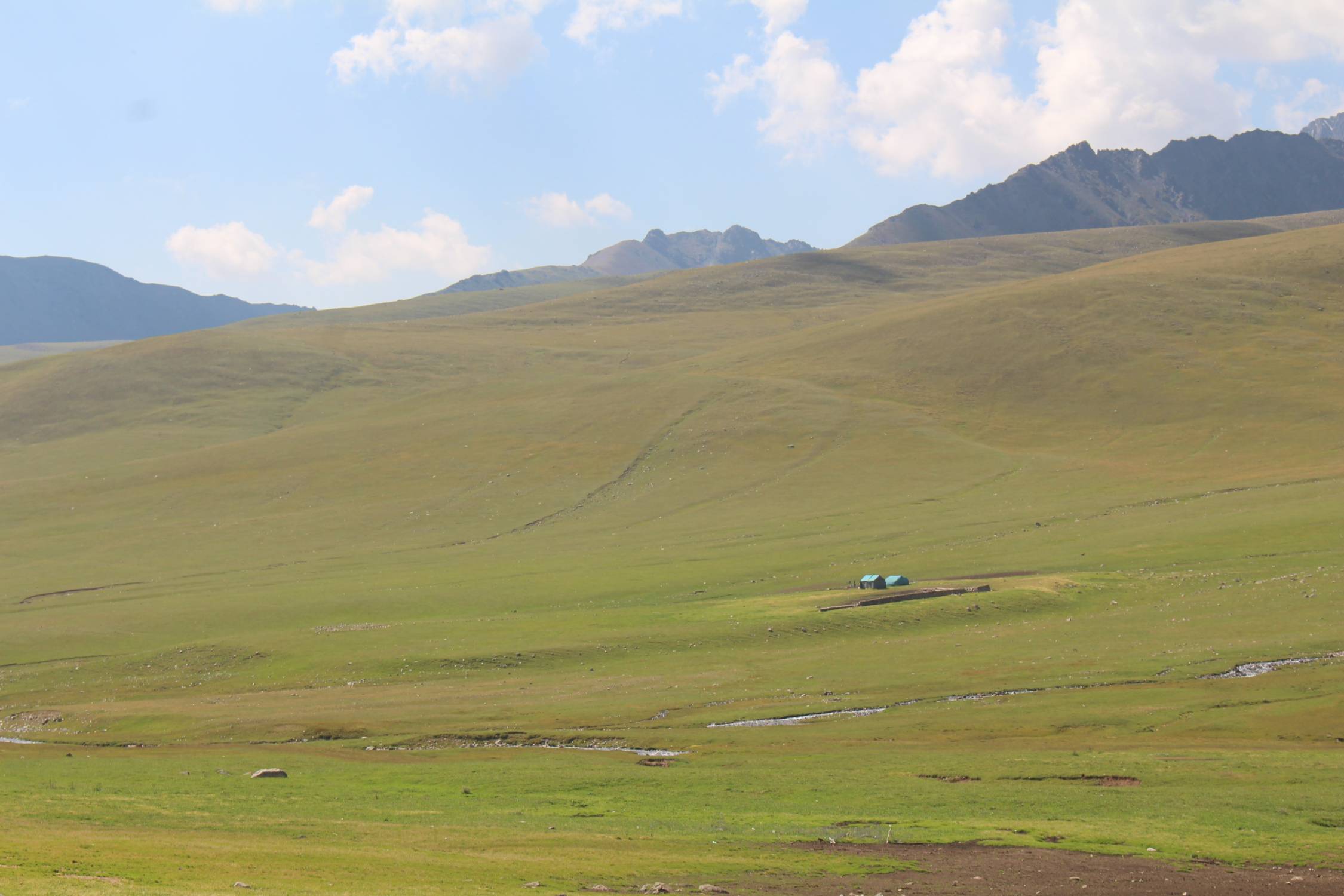 Col de Ala Bel Ashuu, steppe