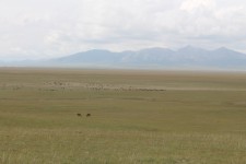 Lac Son-Koul, steppe, panorama