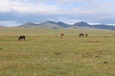 Lac Son-Koul, chevaux, paysage