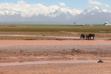 Vall&eacute;e d'Ala&iuml;, rivi&egrave;re Kyzyl-Suu, Pamir