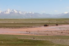 Vall&eacute;e d'Ala&iuml;, Kyzyl-Suu, paysage