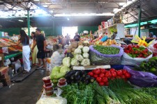 Bichkek, bazar Och, l&eacute;gumes