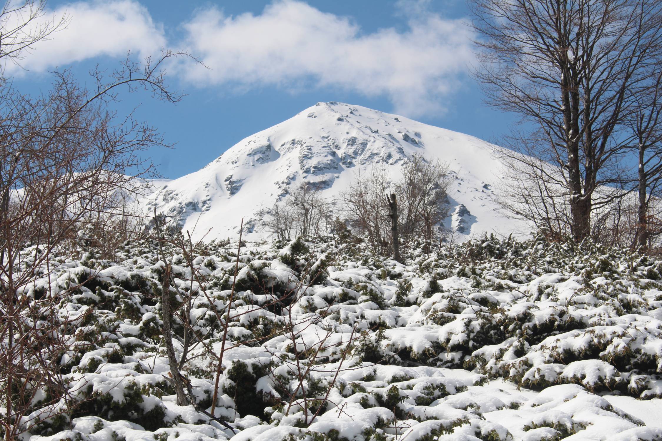 Prevalla, paysage, neige
