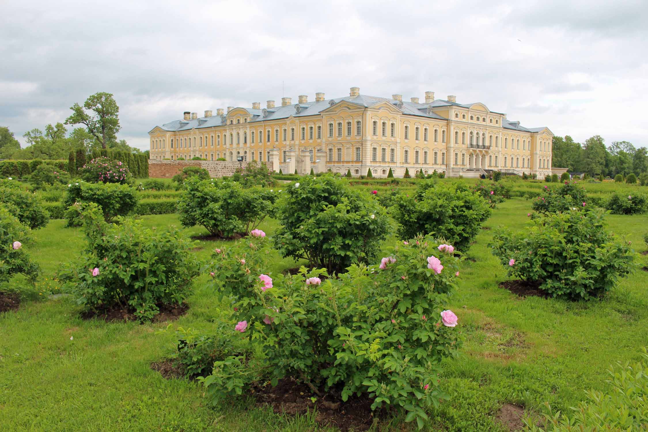 Château de Rundale, rosiers