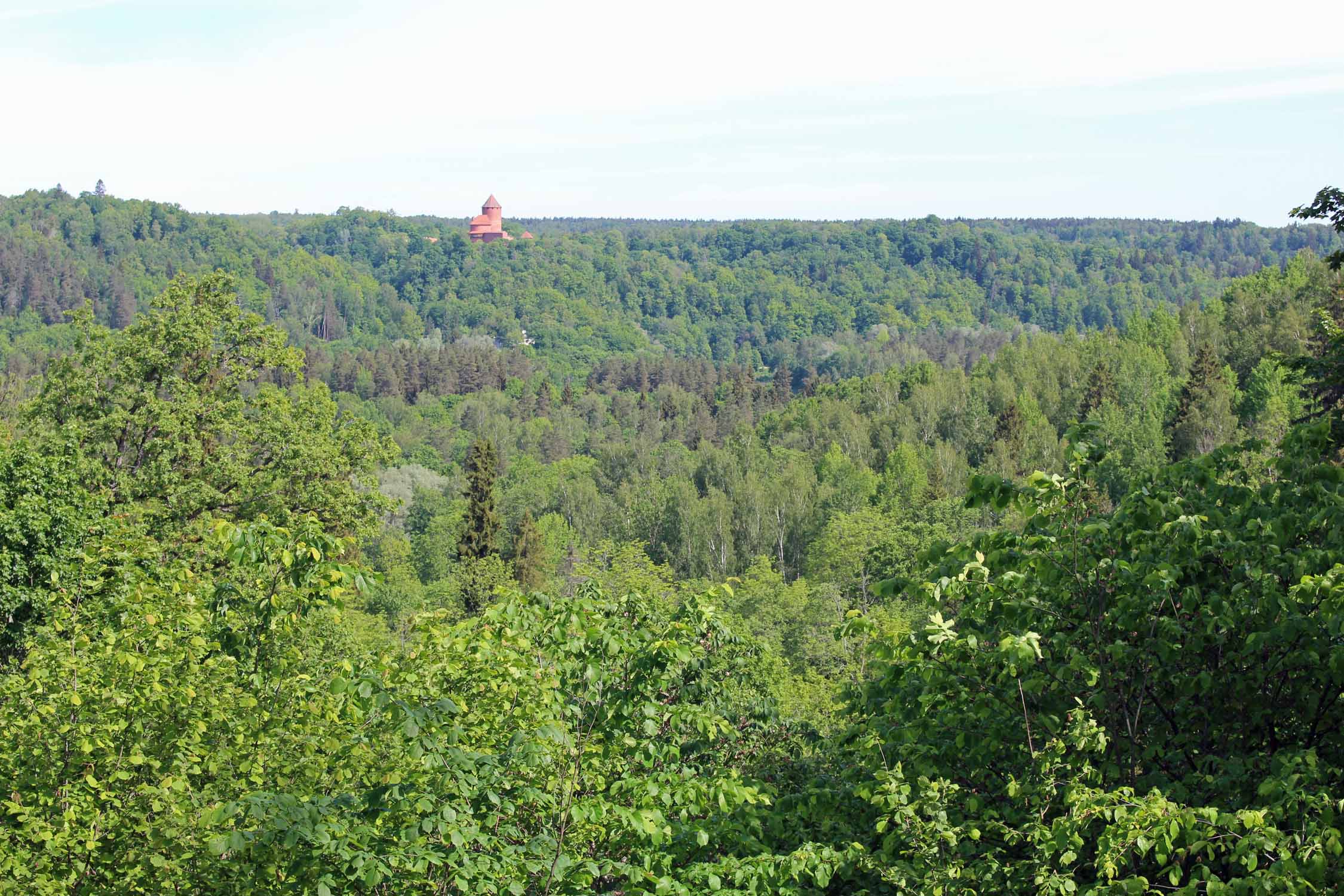 Sigulda, Parc national de la Gauja, forêt