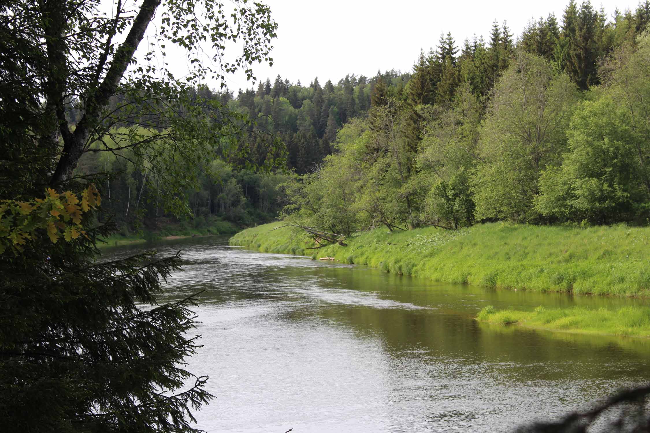 Parc national de la Gauja, riviere Gauja