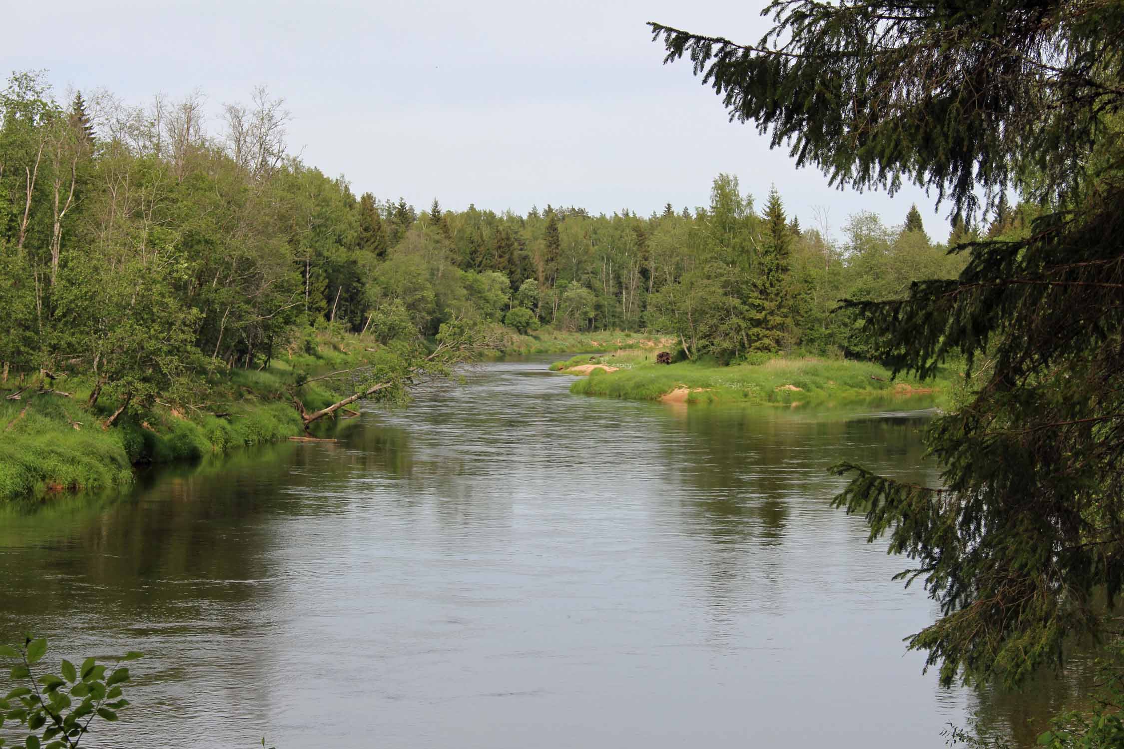 Parc national de la Gauja, paysage Ligatne