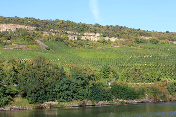 Luxembourg, Vallée de la Moselle, vignobles