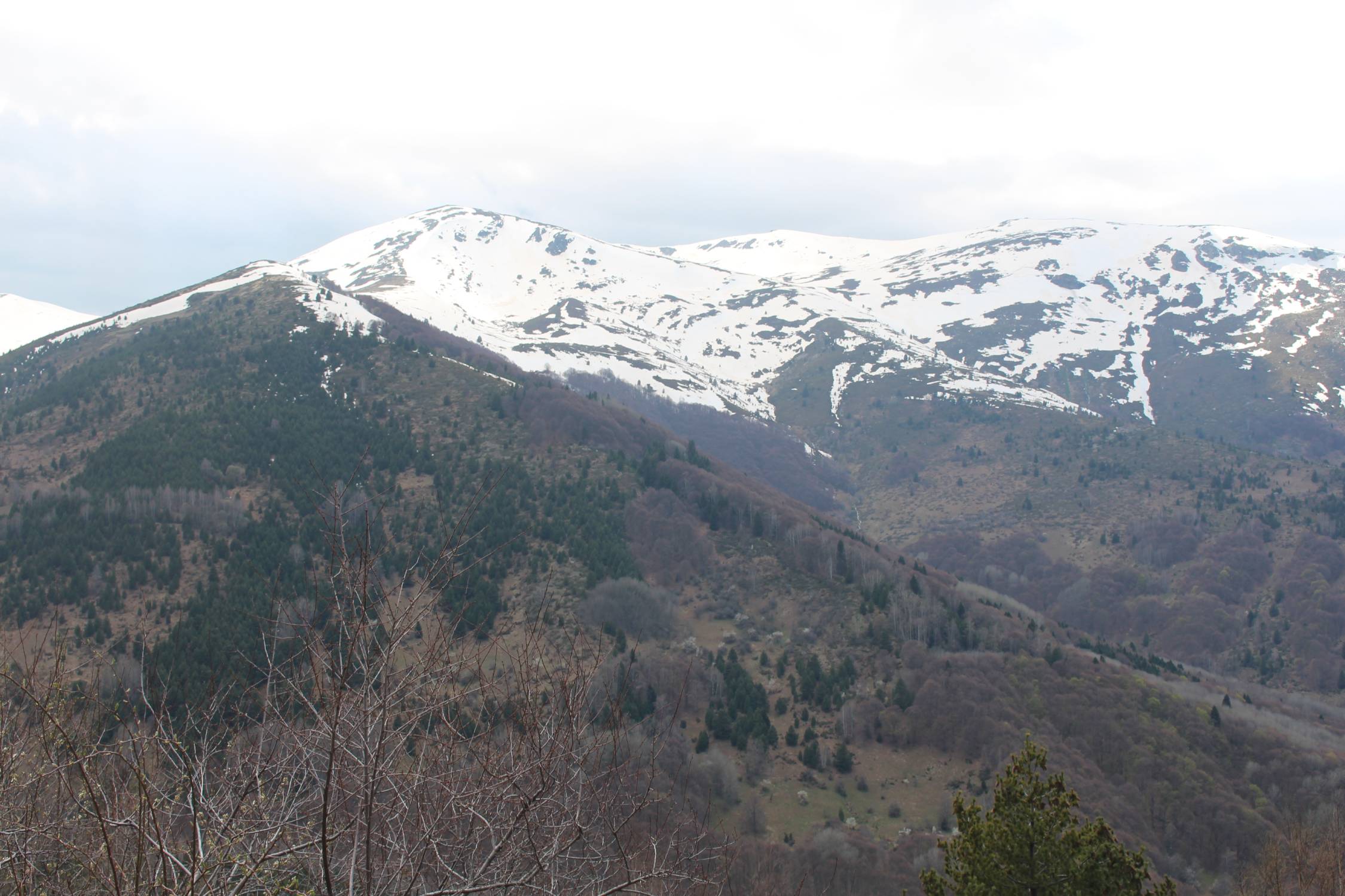 Parc de Pelister, paysage