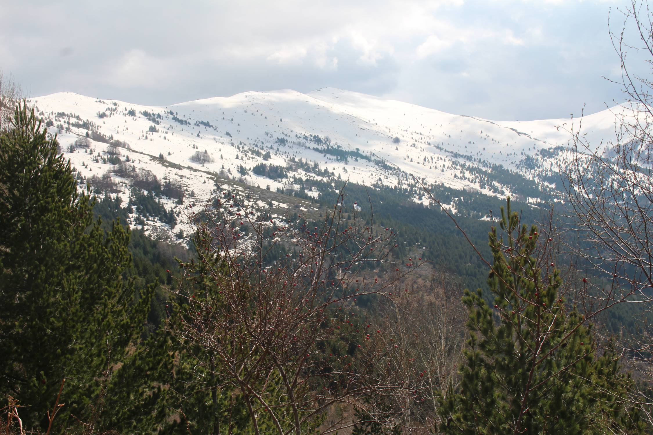 Parc de Pelister, neige