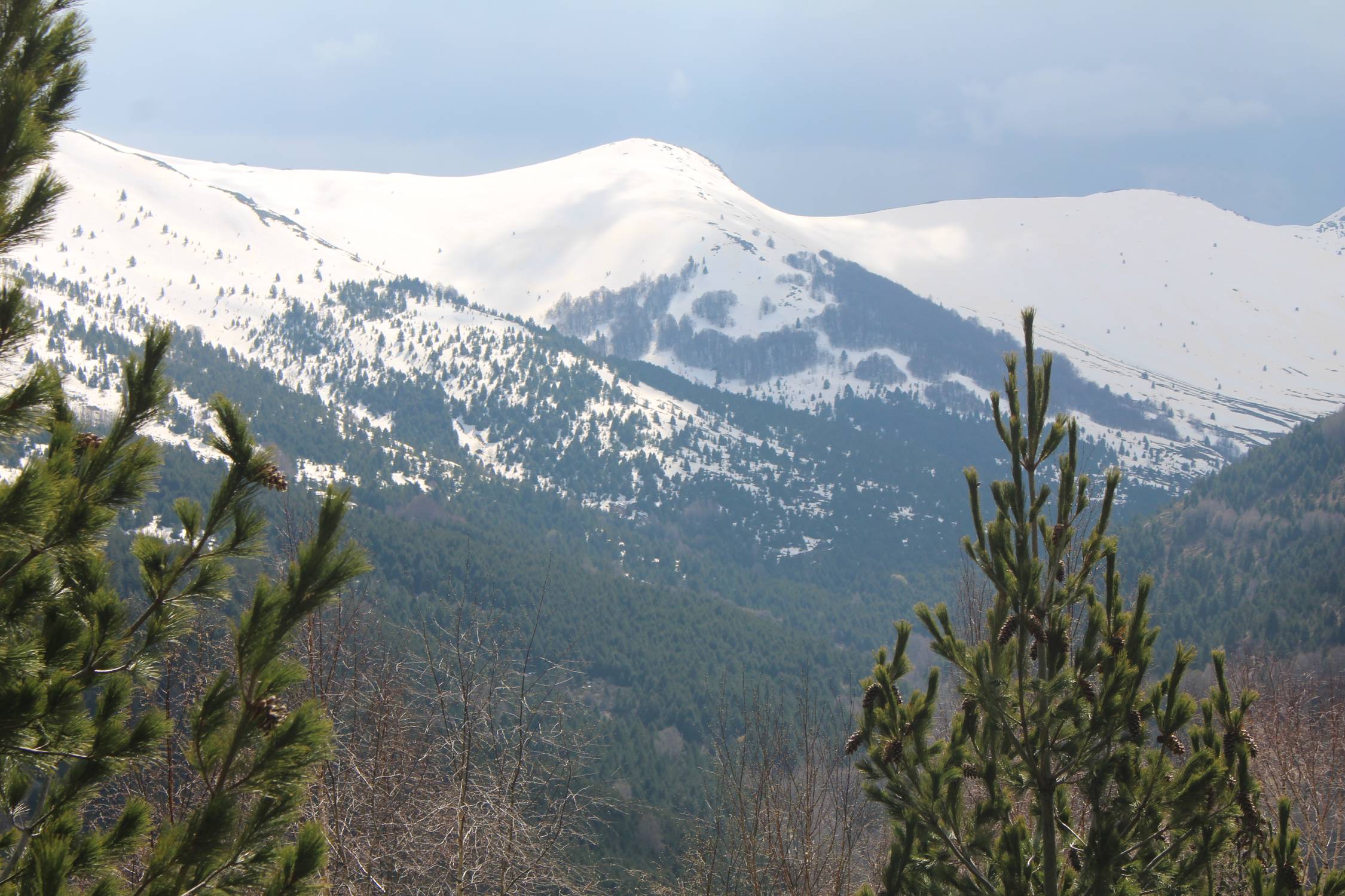 Parc de Pelister, paysage, neige