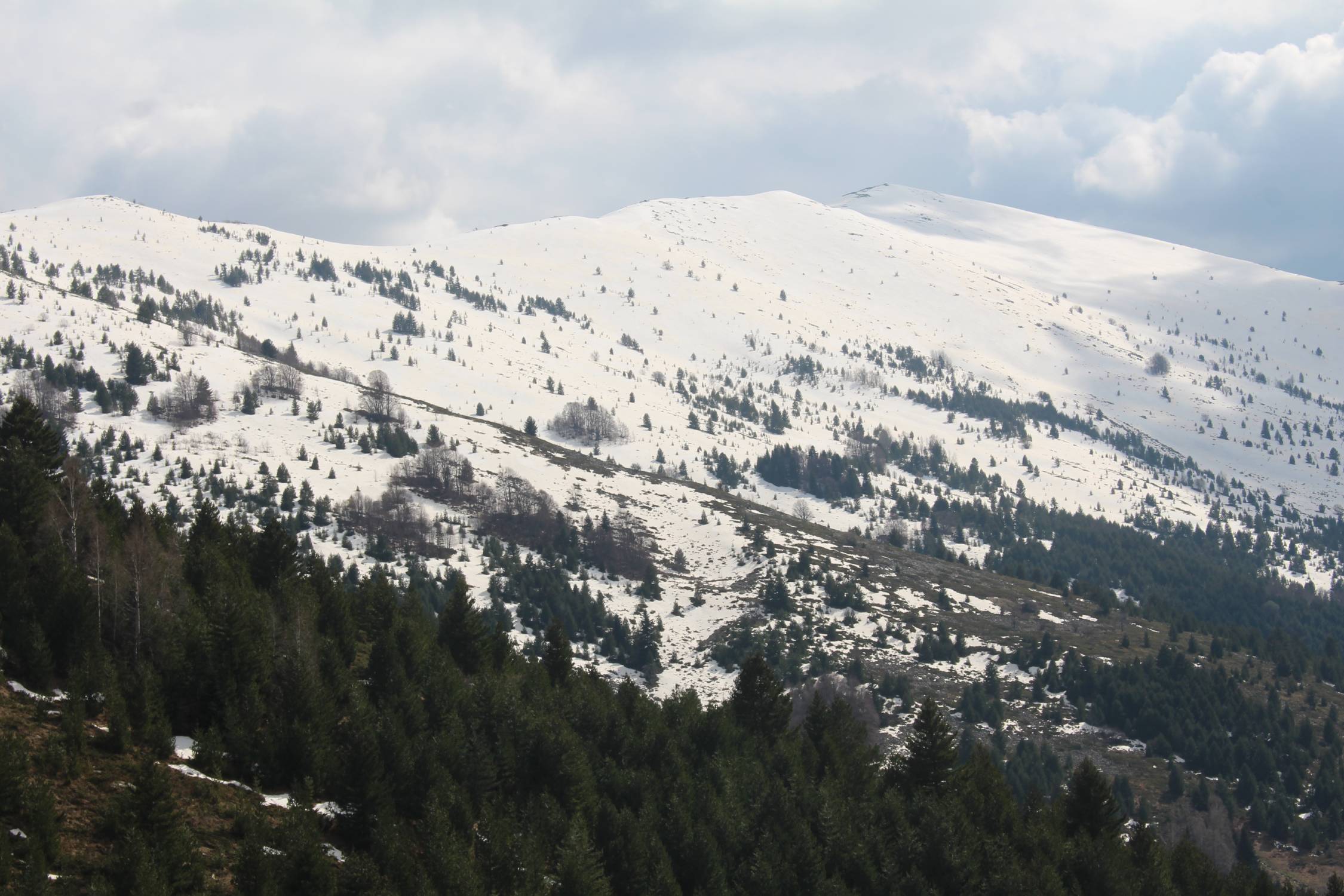 Parc national de Pelister