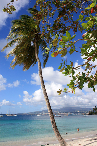 Anse Mitan, Martinique