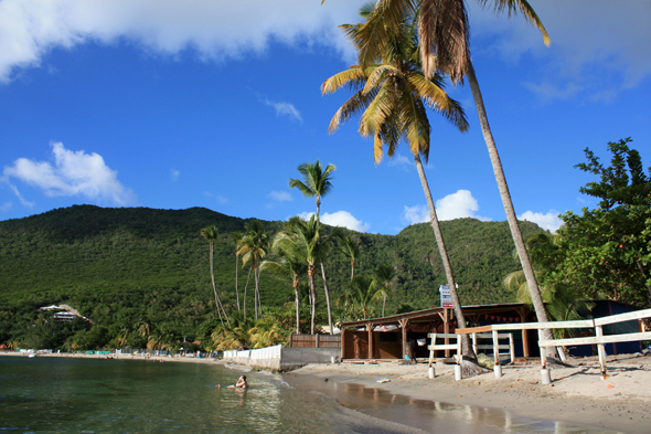 Anse d'Arlet, plage