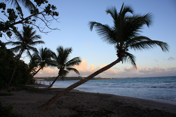 Plage du Diamant, Martinique