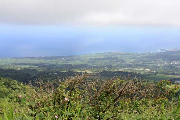 La Montagne Pelée