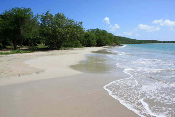 Anse Meunier, plage