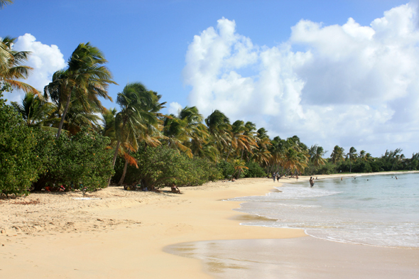 Les Salines, Martinique