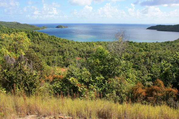 La Caravelle, Martinique, Baie du Trésor