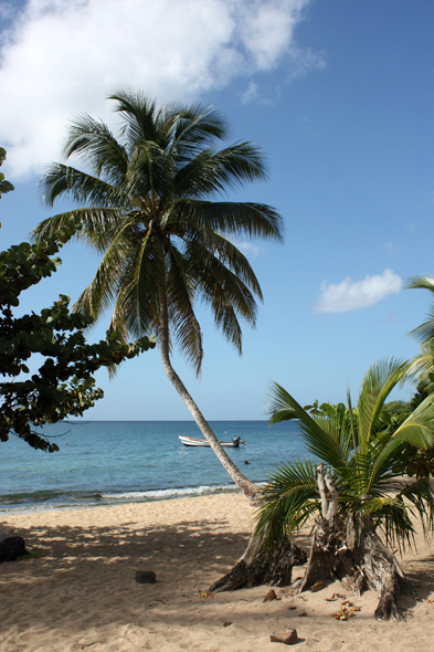 Plage Anse Figuier