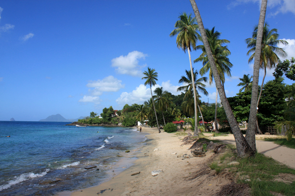 Plage Anse Figuier, Martinique