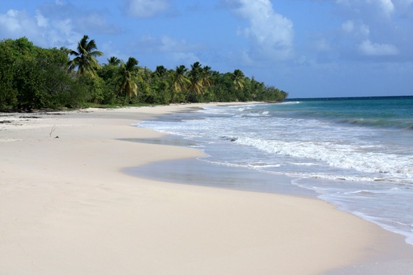 Anse à Prunes