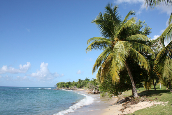 Anse Mabouyas