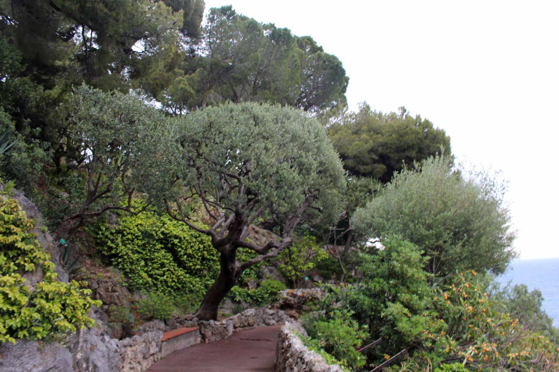 Principauté de Monaco, les jardins de Saint-Martin